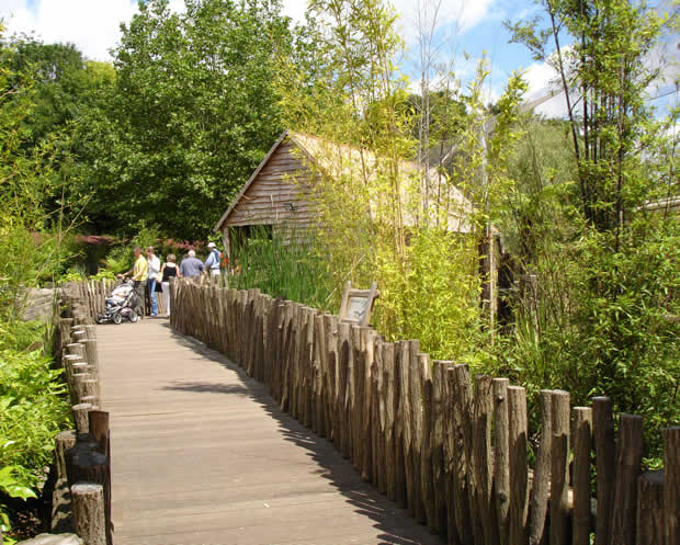 Marwell Wildlife Otters Exhibit